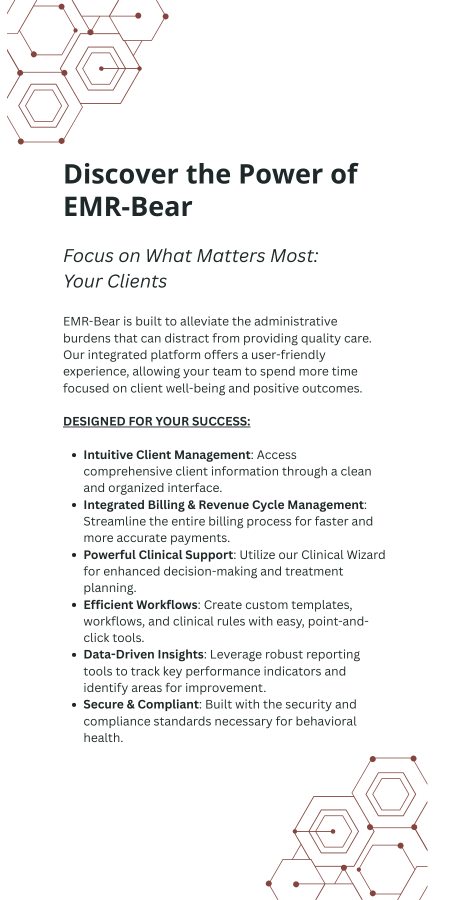 EMR-Bear Ad-LP Graphic